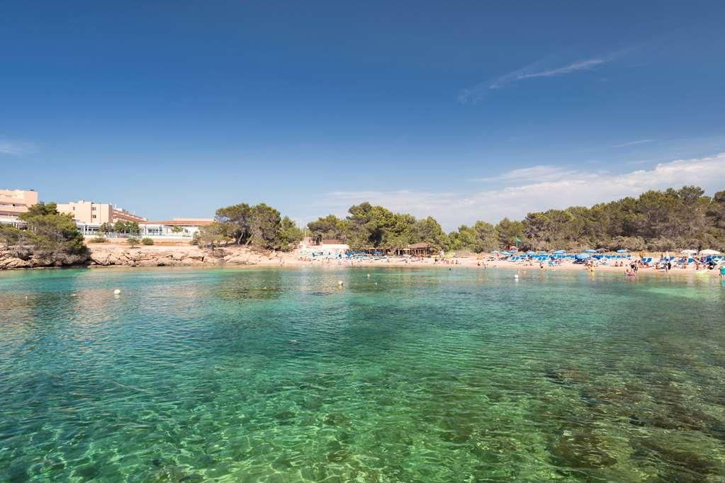 Occidental Ibiza Hotel Port des Torrent Nature photo